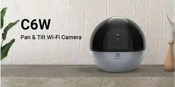 C6W