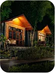 Forest cabin