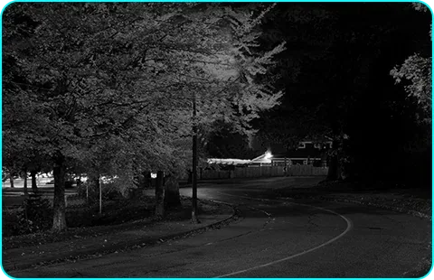 Black and white infrared night view of a street from the EZVIZ HP5