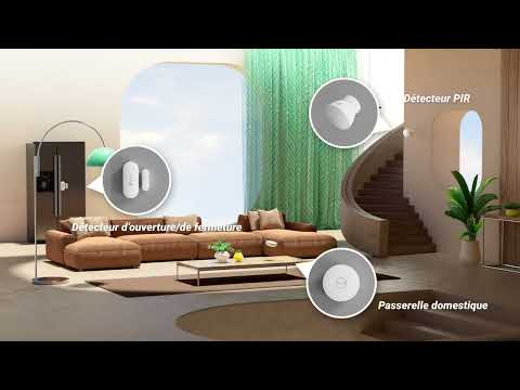 youtube - [Video]